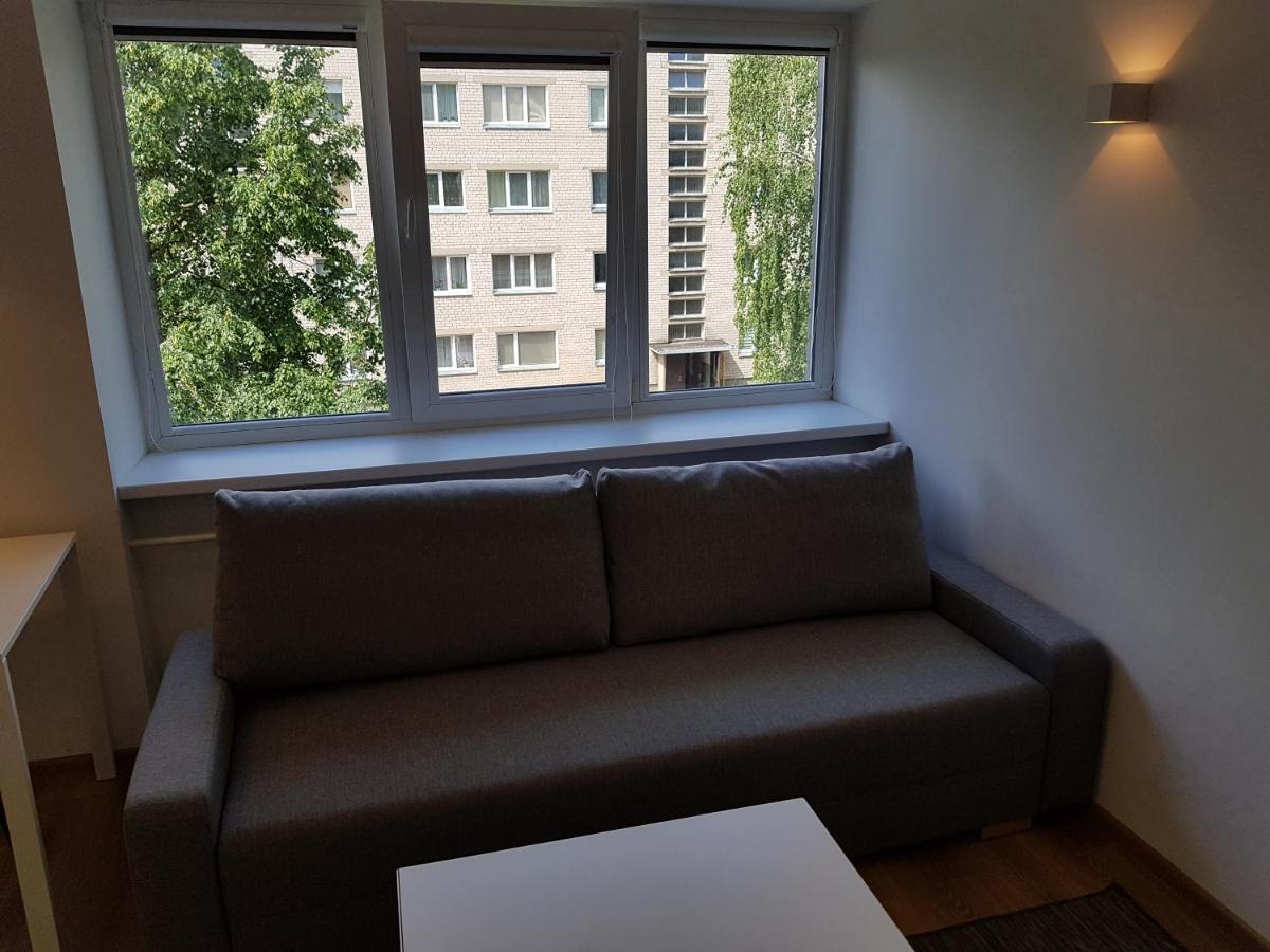 Anyksciai Cozy Studio 외부 사진