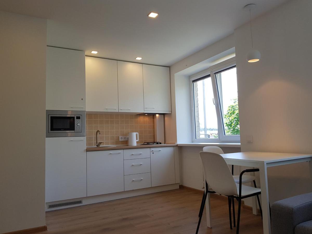 Anyksciai Cozy Studio 외부 사진